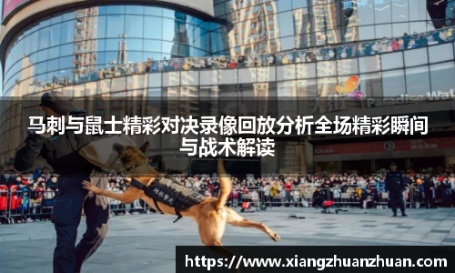 emc易倍官网